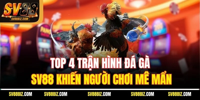 Top 4 Trận Hình Đá Gà SV88 Khiến Người Chơi Mê Mẩn